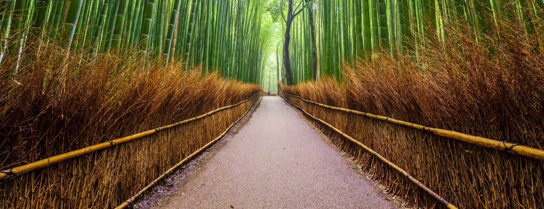 Arashiyama and Sagano guided food tour in Kyoto