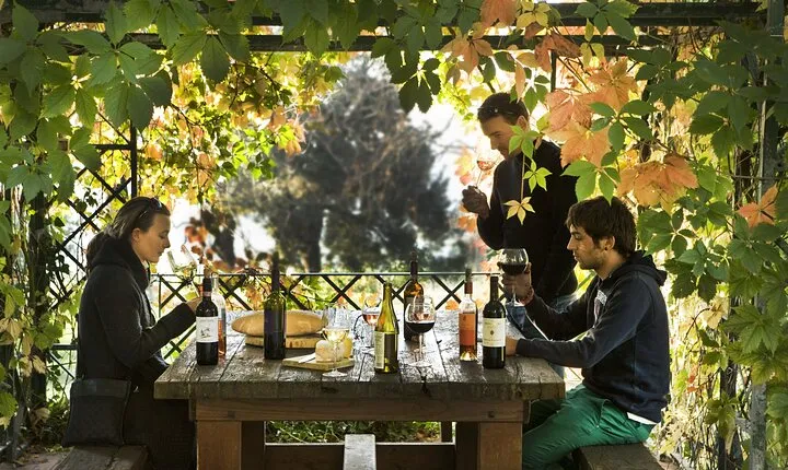 Exclusive Chianti Rufina Half Day Tour with Lunch from Florence
