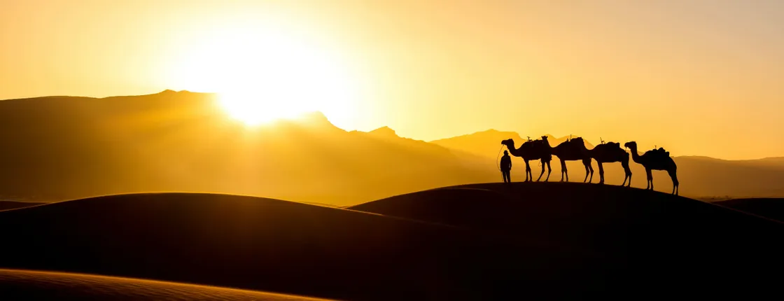 Sea, Sunset & Desert Camp Experience