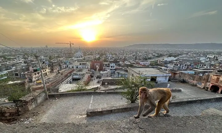Jaipur Half-Day City Tour with Sunset View