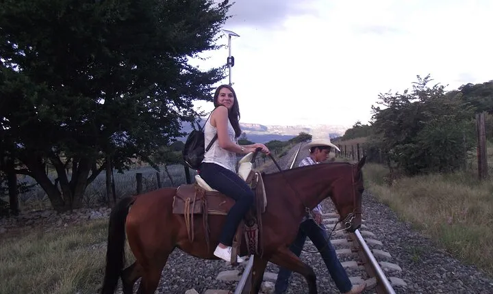 Horseback Riding Tour in The Agave Field with Lunch