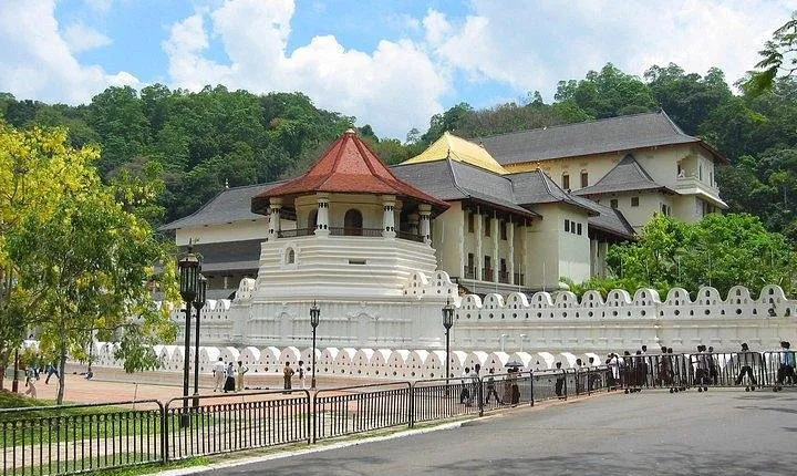 Kandy Private Day Tour Ahungalla/Kosgoda/Bentota/Beruwala/Kaluthara