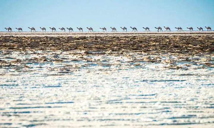 2 Days Dallol trip