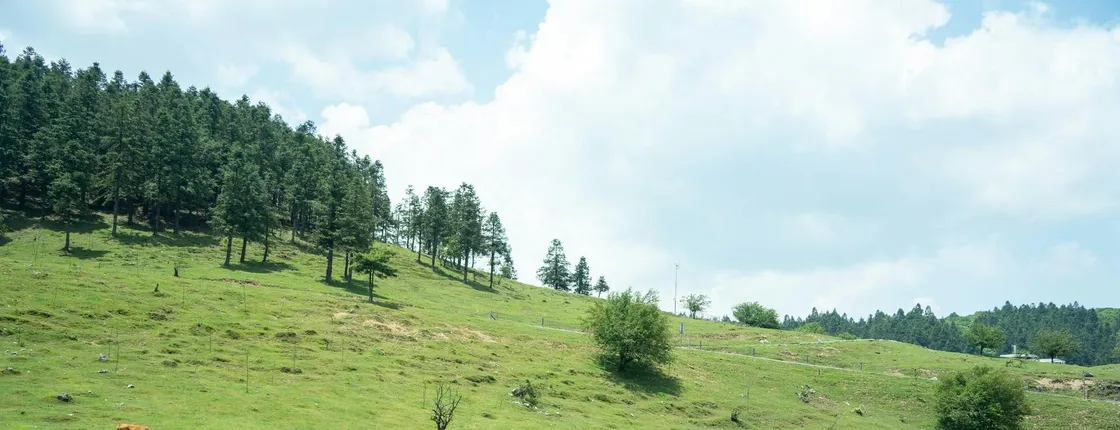 Wulong private tour with Three Natural Bridges and Fairy Mountain