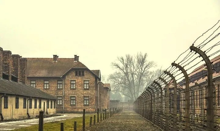 Krakow: Auschwitz-Birkenau Guided Tour & Hotel Pick Up