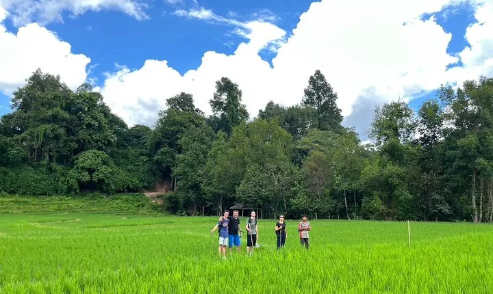 1 Day Trek and Bamboo Rafting Tour in Chiang Mai
