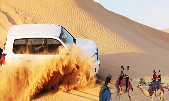 Desert Safari with Quad Bike, camel Ride, BBQ Dinner, Live Show's