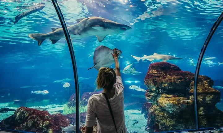 Full Day Grand Aquarium With Transportation