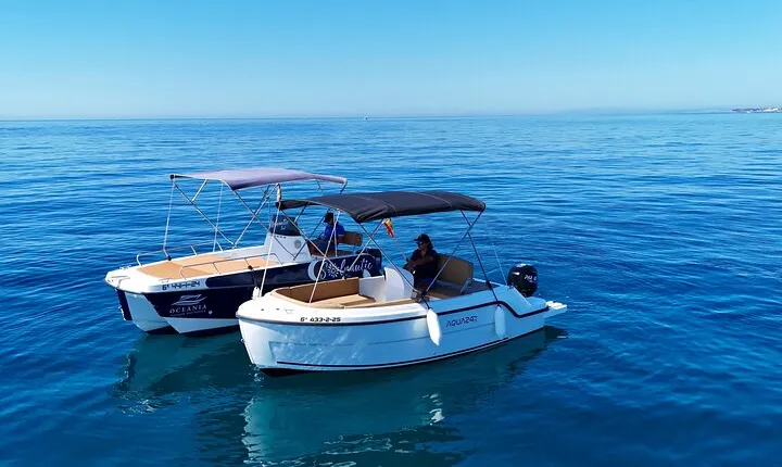 Private boat rental without title dolphin watching