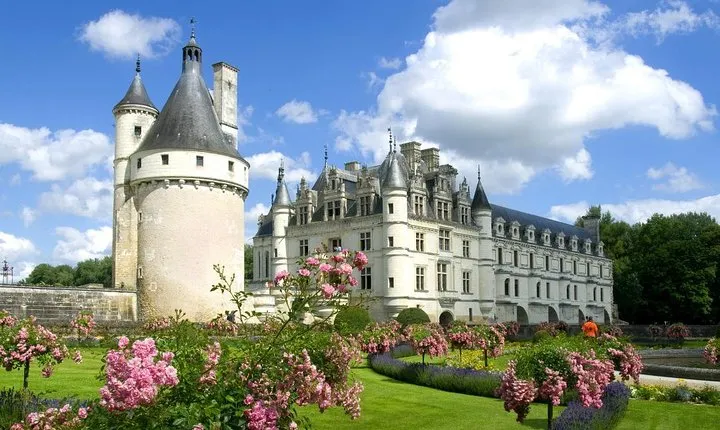 Loire Valley Castles Private Day Trip from Paris