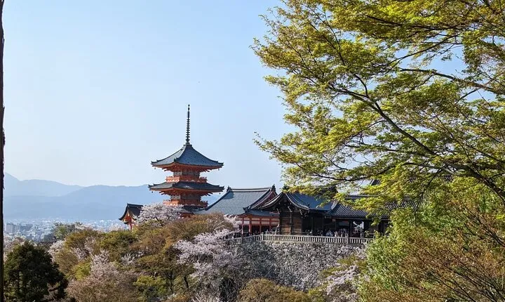 8 Hour Private Tour of Kyoto