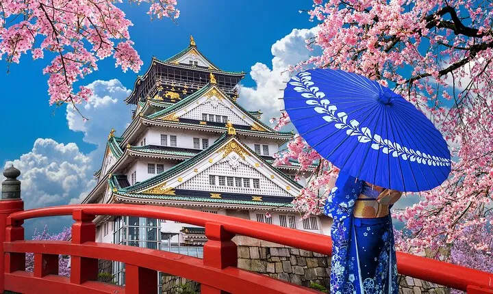 Private Day Tour in Osaka and Kyoto with charter car
