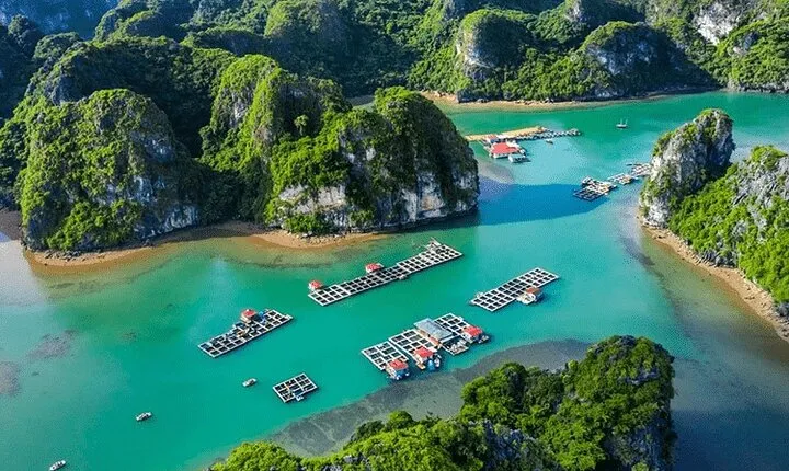 Ha Long Bay Day Cruise: Caves, Lunch & Kayaking from Hanoi