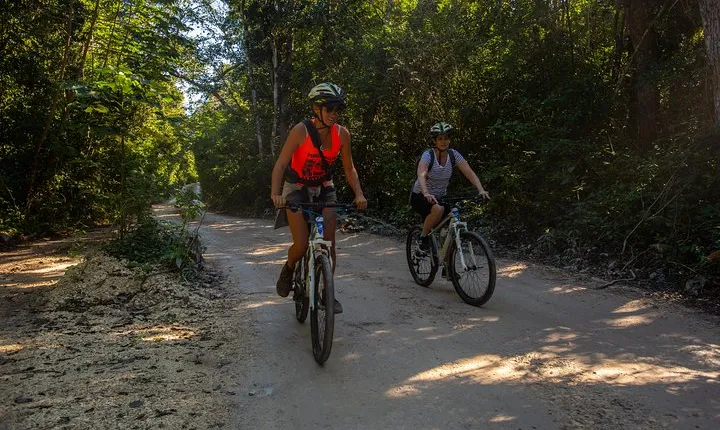 Cenotes trail jungle bike tour in Tulum with lunch