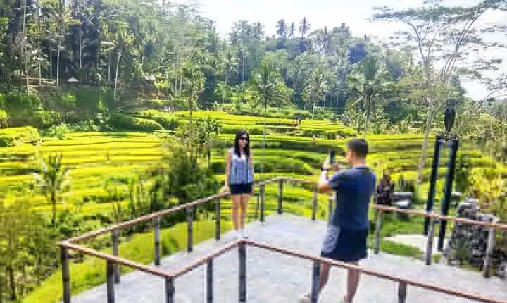 Ubud Tours - The Best & New of Ubud - include tickets