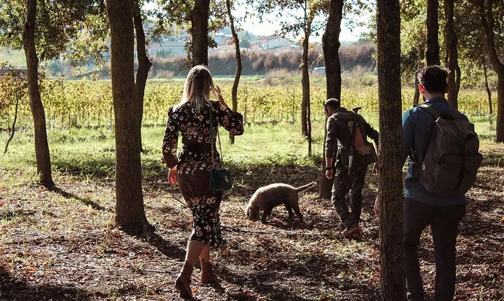 Truffle Hunt, Cooking Class & Wine Tasting