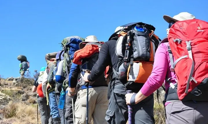 6 Day Scenic Mount Kilimanjaro Climb Machame Route Tour