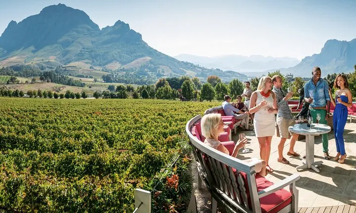 Stellenbosch & Franschhoek Wine Tasting Private Tour incl. Lunch