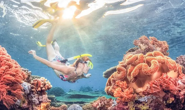 Snorkeling at Blue Lagoon Bali with Lunch and Transport