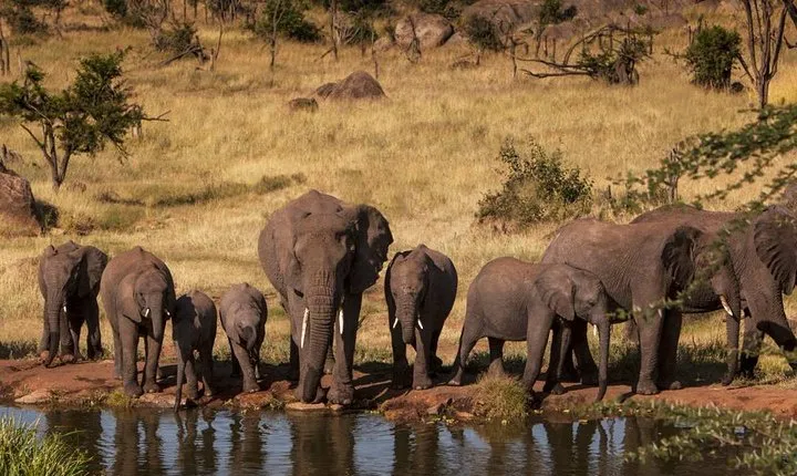 2-Days Safari Tarangire Park and Ngorongoro Crater