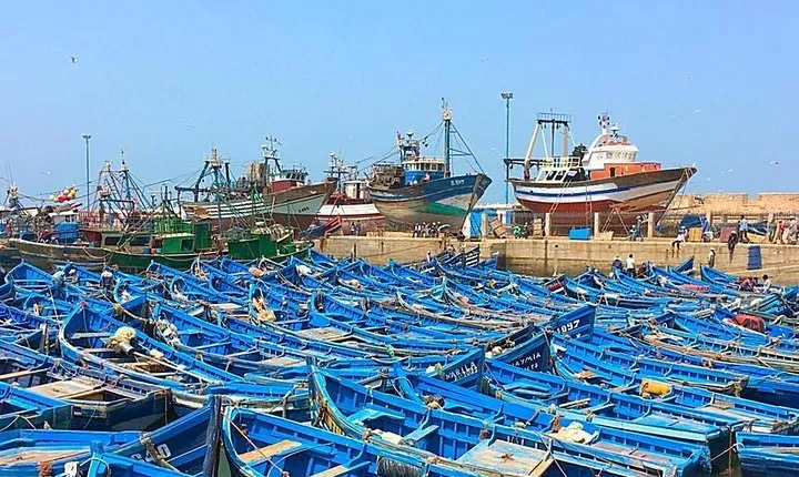From Marrakech To Essaouira Mogador Full Day Trip | Small-group