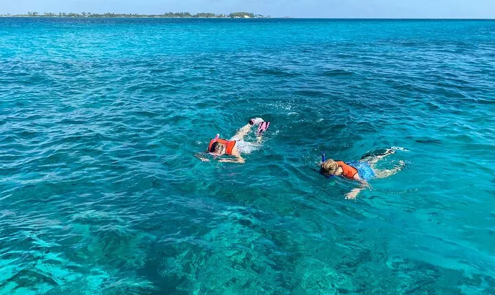 5 Hours Pigs and Turtles with Beach Stop in Bahamas