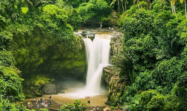 Balinase Cooking Class and Private Ubud Day Tour