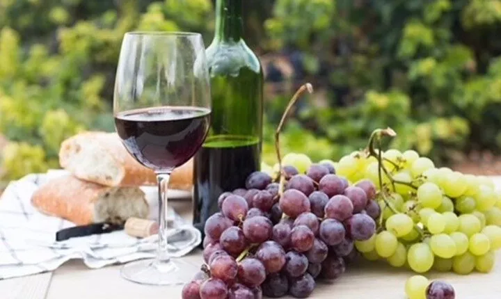 Niagara Bench: A Wine Journey to Ontario’s Best Kept Secrets