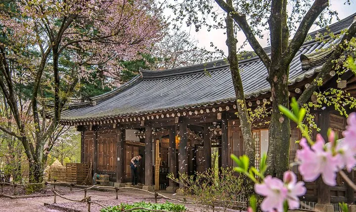 Nami Island, Garden of Morning Calm Tour with Rail Bike Option