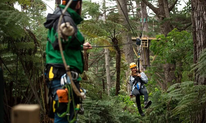 Adventurous Zipline Tour in Coromandel 
