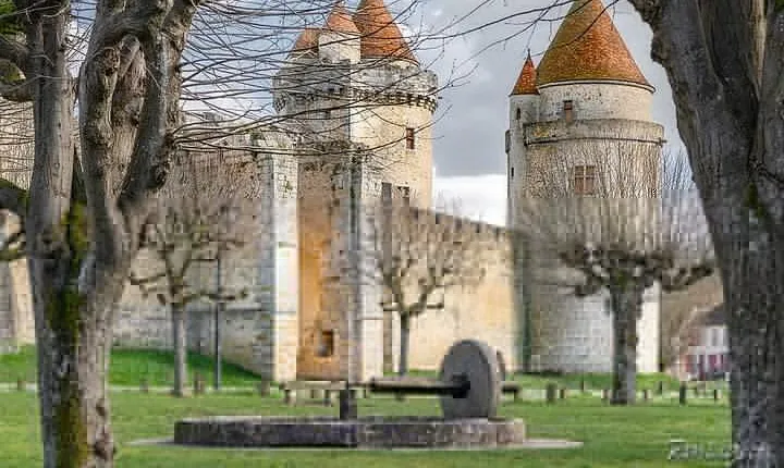 Middle Ages day-trip with 2 castles around Paris