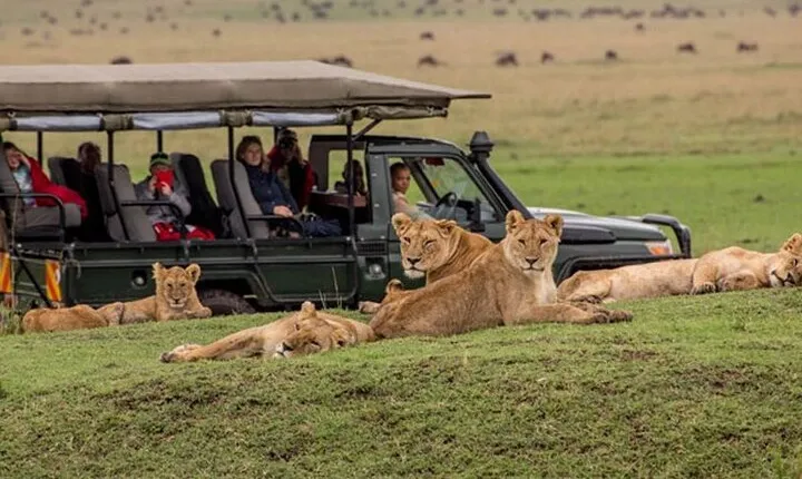 3 Day Masai Mara Private Safari from Nairobi.