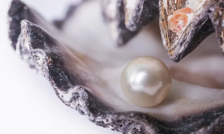 La Paz: Pearl Farm Experience and shop