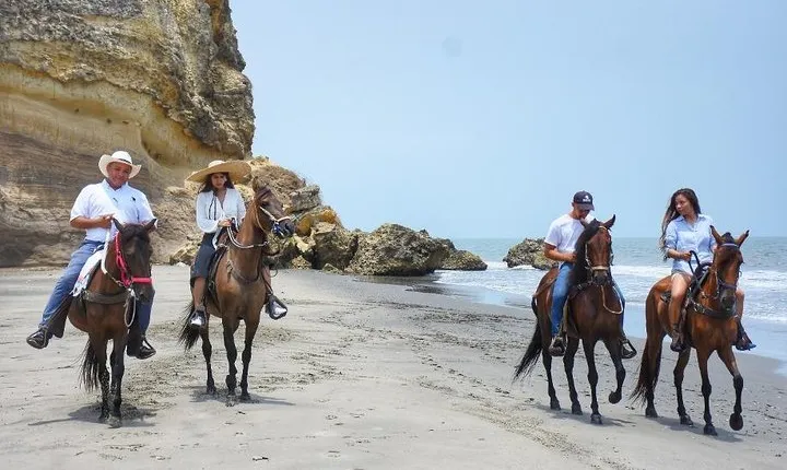 Horseback Riding on the beach with Colombian Paso Show, Cartagena