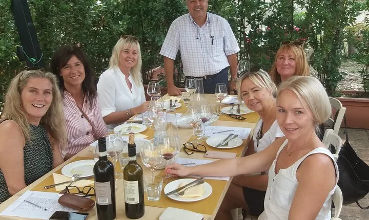 Private Tour in San Gimignano and Chianti Day Trip from Florence
