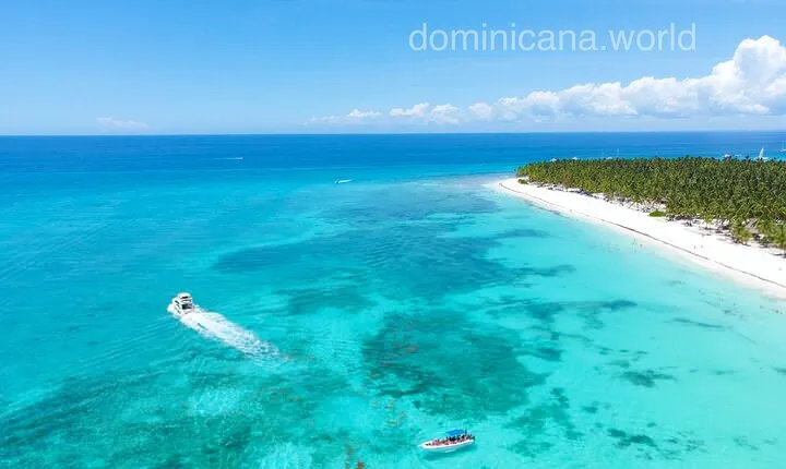 Saona Island, Natural pool Starfish, Fast boat, Catamaran +Dances