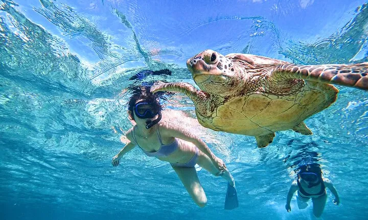 Snorkeling Activity in Okinawa Miyako Japan