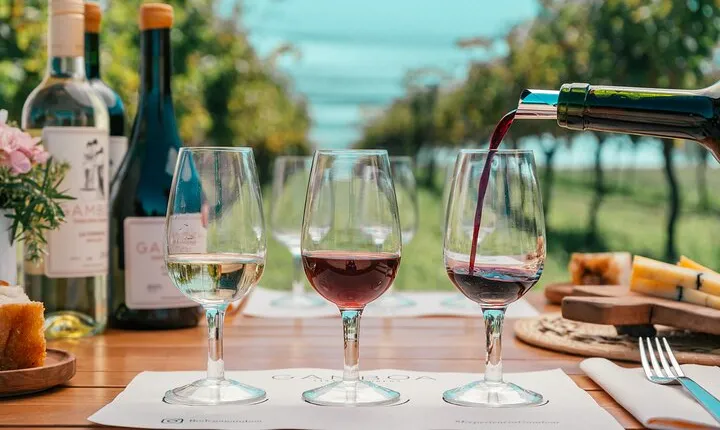 Buenos Aires: Wine tasting and lunch at Bodega Gamboa
