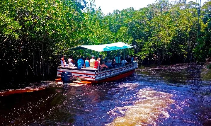  Black  River Safari * YS Falls  *  Appleton Rum Tour  