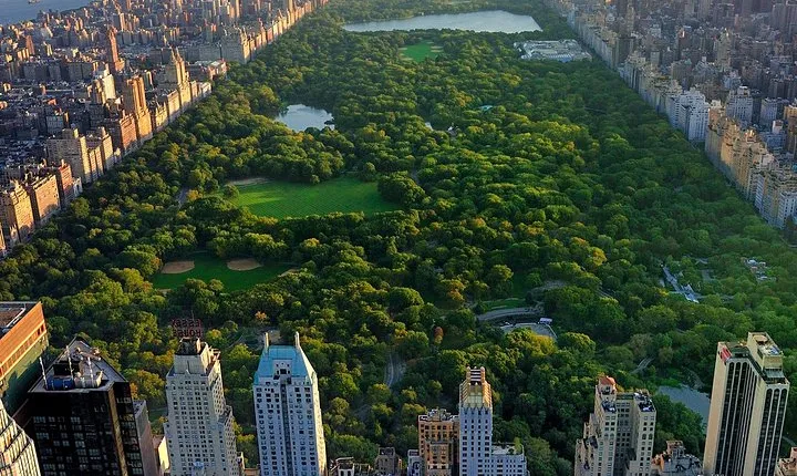  Classic 1-Hour Central Park Pedicab Tour 