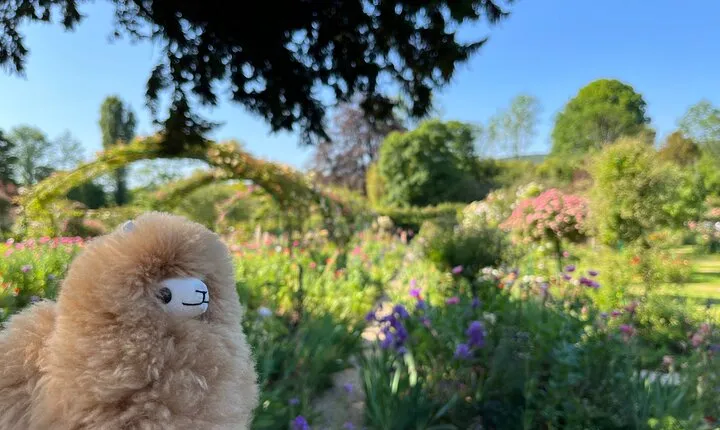 Giverny & Versailles Private Guided Tour with Ticket Entry