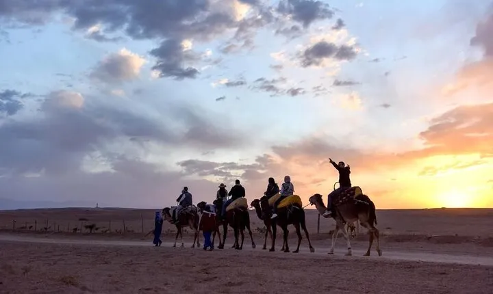 Sunset camel ride and Dinner in Agafay Desert with transport from Marrakech