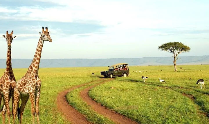 Half Day Durban City Tour and Phezulu Safari Park