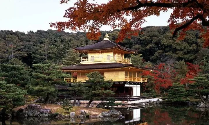  Arashiyama Kinkakuji Temple Nara Park Tour from Osaka and Kyoto