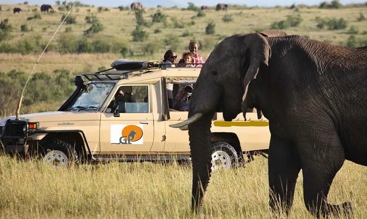 9-Days Best of Kenya & Tanzania Safari on 4x4 Land Cruiser Jeep