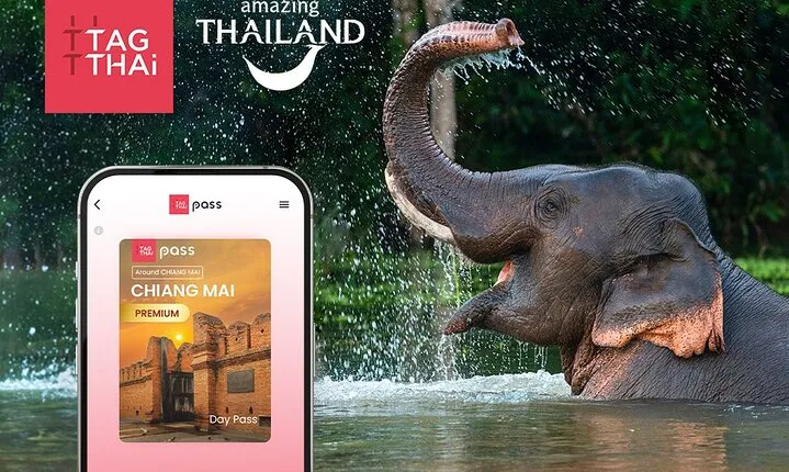 Chiang Mai City Premium Day Pass Includes Zipline