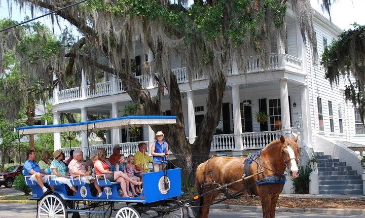 #1 Historical Horse Drawn Carriage Tour