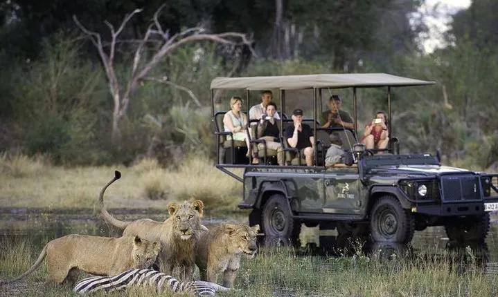 Chobe Extended Day Trip from Victoria Falls - Zimbabwe