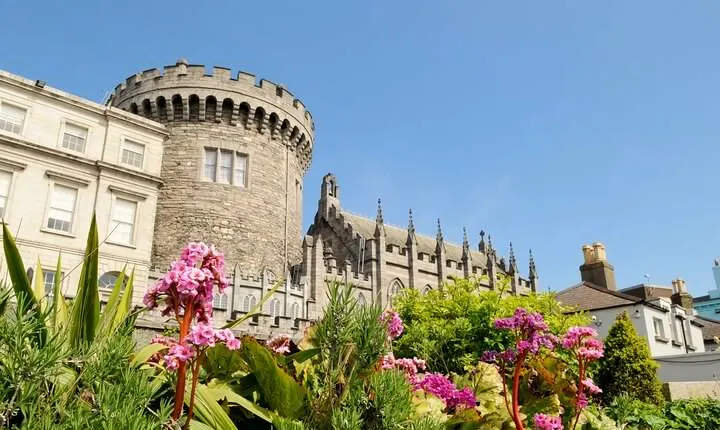 Dublin Private Tour with Skip-the-line Dublin Castle Tickets