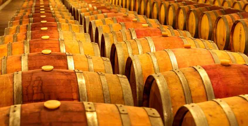 Build your own Wine Tour